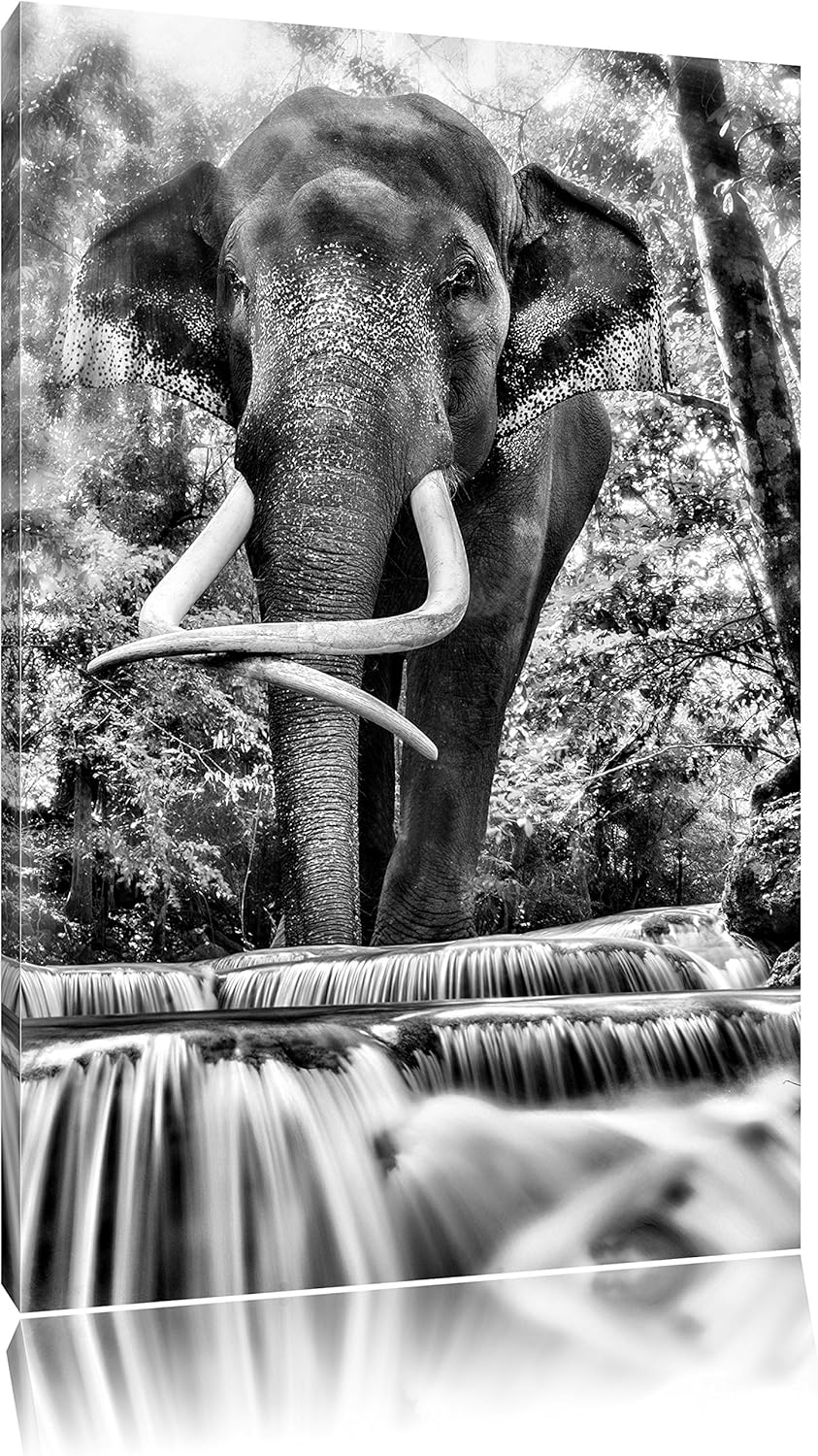 Pixxprint Elefant am Bach / 100x70cm Leinwandbild bespannt auf Holzrahmen/Wandbild Kunstdruck Dekora