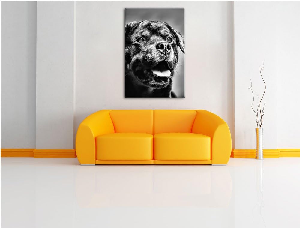 Pixxprint Treuer Rottweiler als Leinwandbild/Grösse: 100x70 cm/Wandbild/Kunstdruck/fertig bespannt,