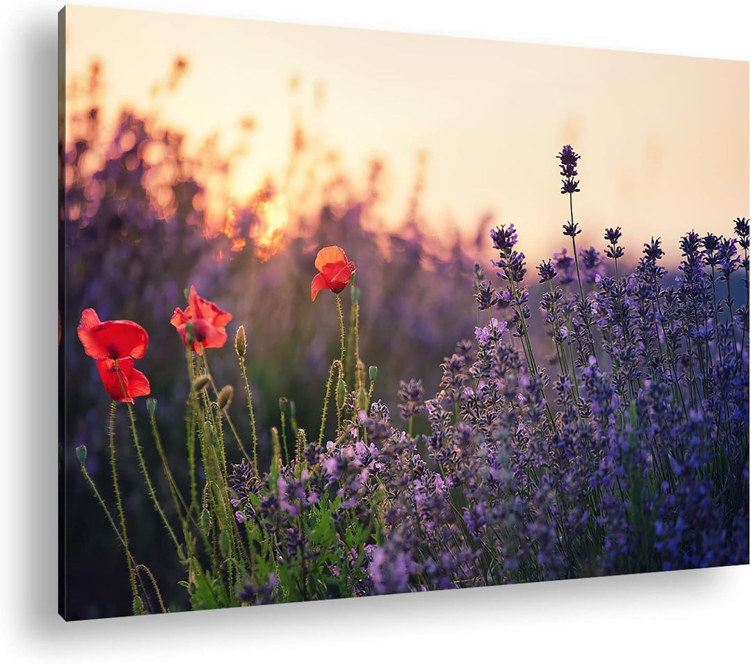 deyoli blühender Lavendel und Mohn Format: 60x40 als Leinwandbild, Motiv fertig gerahmt auf Echtholz