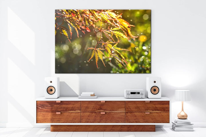 deyoli Ahornblätter im Herbst Format: 80x60 als Leinwand, Motiv fertig gerahmt auf Echtholzrahmen, H