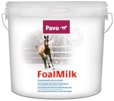 Pavo Fohlenmilch 10 ltr.