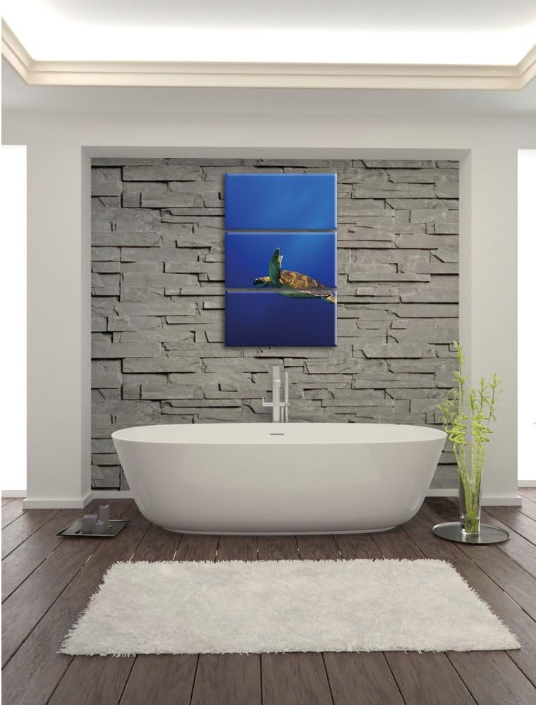 Pixxprint Schildkröte im Meer als Leinwandbild/Grösse: 3 Teilig (120x80) cm/Wandbild/Kunstdruck/fert