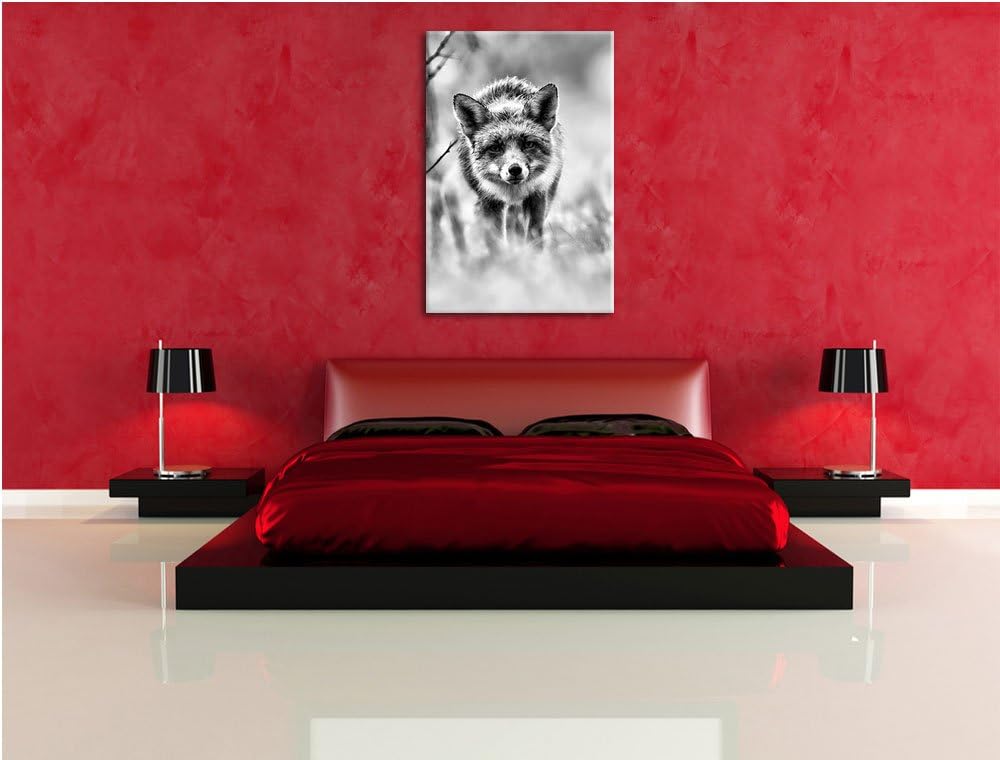 Pixxprint Schleichender Fuchs / 100x70cm Leinwandbild bespannt auf Holzrahmen/Wandbild Kunstdruck De