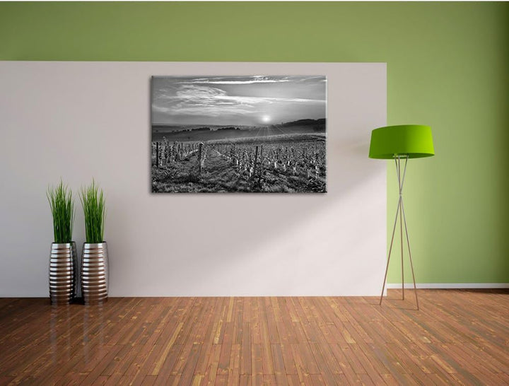 Pixxprint Weinberg in Bergerac Frankreich Kunst B&W, Format: 100x70 auf Leinwand, 100x70