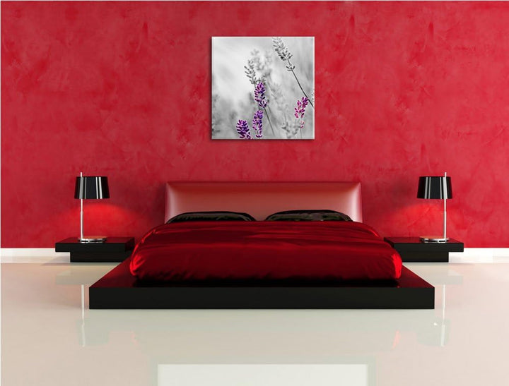 Pixxprint schöner Lavendel als Leinwandbild Quadratisch/Grösse: 70x70 / Wandbild/Kunstdruck/fertig b