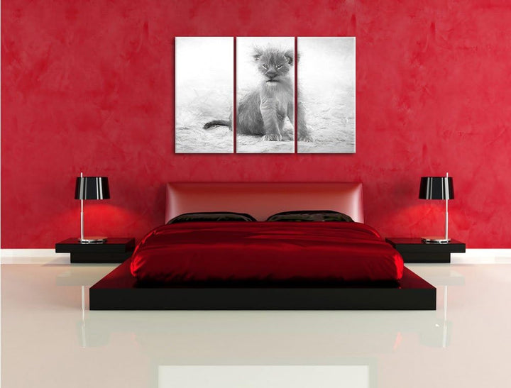 Pixxprint Verlassenes Löwenbaby als Leinwandbild/Grösse: 3 Teilig (120x80) cm/Wandbild/Kunstdruck/fe