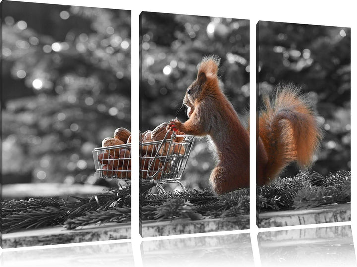 Pixxprint Eichhörnchen Schorschi Einkaufswagen B&W Detail 3-Teiler Leinwandbild 120x80 Bild auf Lein