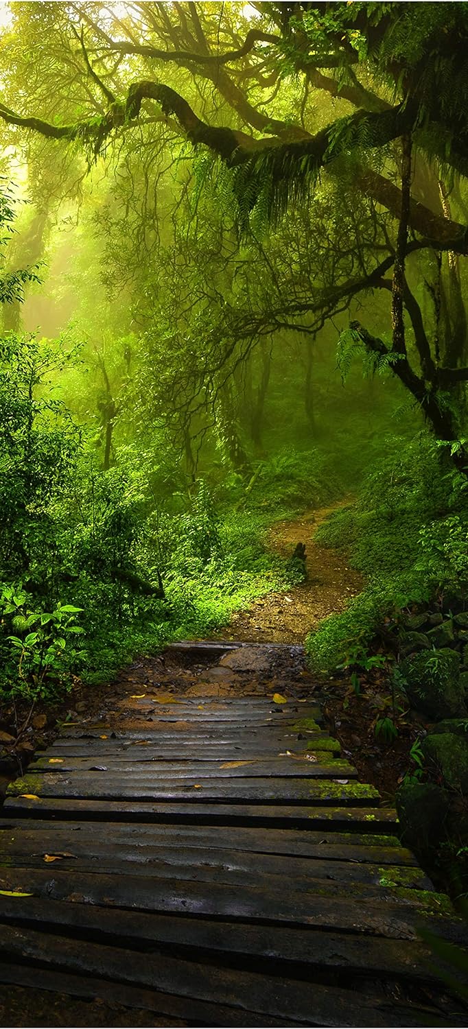 wandmotiv24 Türtapete Holz-weg in mystischem Wald, Urwald 70 x 200cm (B x H) - selbstklebende Strukt