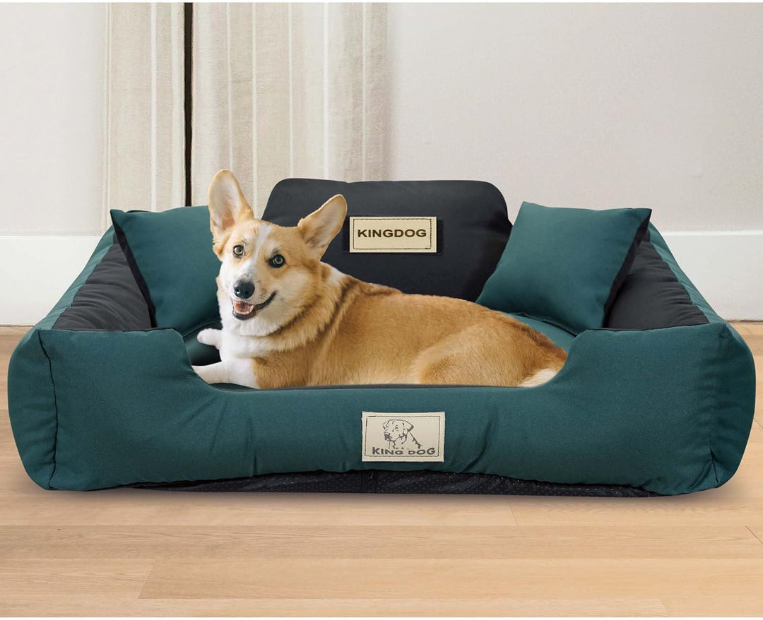 EDANTI Hundebett, Personalisierte Anti-Rutsch, Abnehmbar Hundekissen, Hundekorb, Hundesofa, Hundecou
