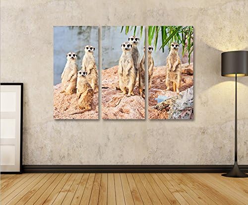 islandburner Bild Bilder auf Leinwand Erdmaennchen 3p XXL Poster Leinwandbild Wandbild art up your l