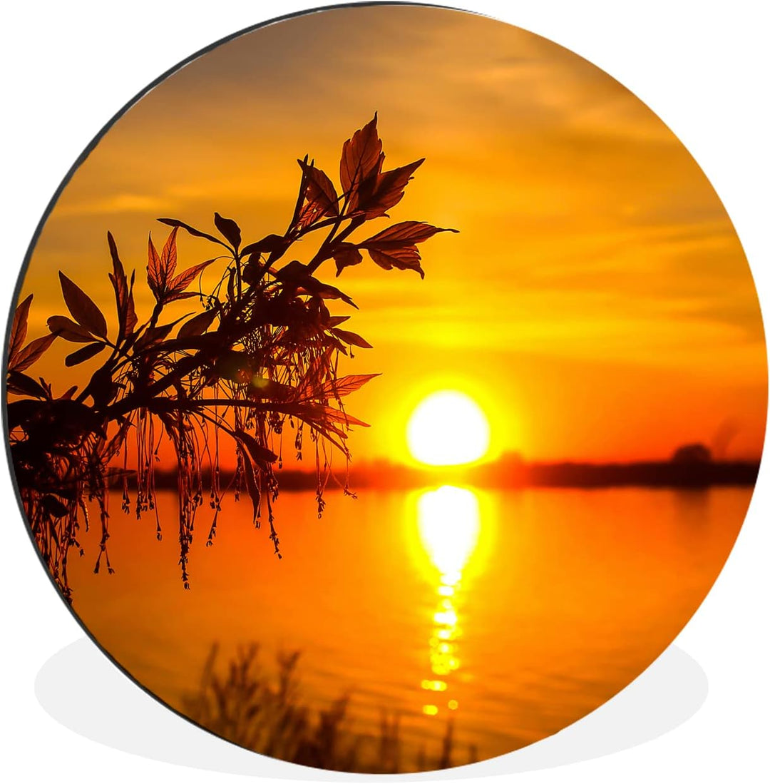 MuchoWow Wandbild Rund Wanddeko Deko Wohnzimmer Bilder 30x30 cm Sonnenuntergang - Wasser - Pflanzen