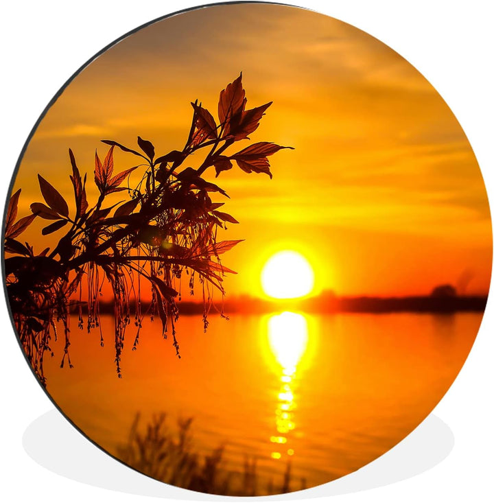 MuchoWow Wandbild Rund Wanddeko Deko Wohnzimmer Bilder 30x30 cm Sonnenuntergang - Wasser - Pflanzen