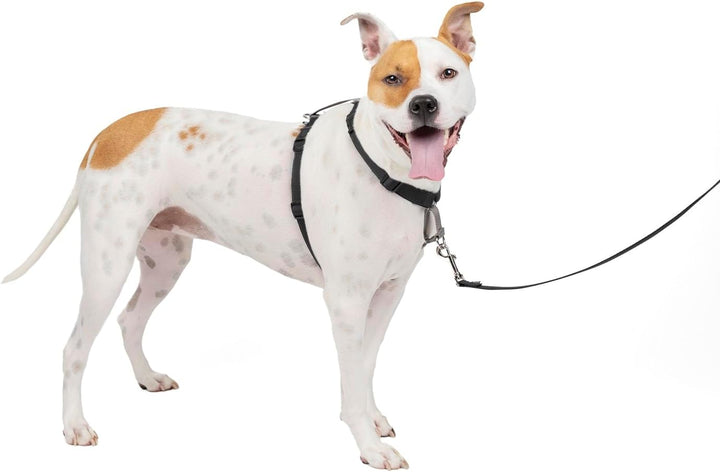 PetSafe 3-in-1 Geschirr, Hundegeschirr mit Rückhaltegurt, Reduziert Ziehen und Druck auf die Kehle,