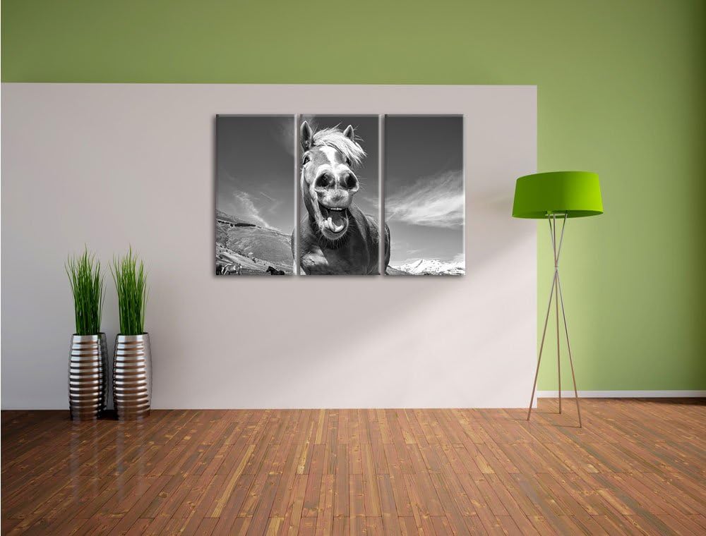 Pixxprint Pferd in der Natur als Leinwandbild | Grösse: 3 Teilig (120x80) | Wandbild| Kunstdruck | f