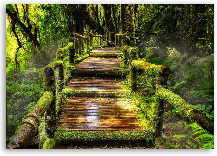 Feeby Vlies Leinwandbild Holzbrücke Treppe Dschungel 90x60 cm Druckbild Wandbild Wanddekoration Deko