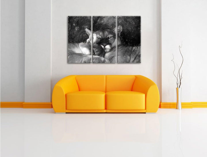 Pixxprint verschlafenes Puma Paar Kunst als Leinwandbild/Grösse: 3 Teilig (120x80) / Wandbild/Kunstd