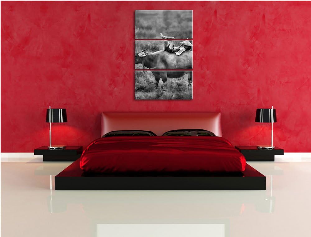 Pixxprint Monocrome, Wasserbüffel trägt Kind 3-Teiler Leinwandbild 120x80 Bild auf Leinwand