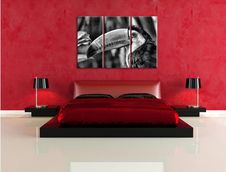 Pixxprint Monocrome, schöner Tukan 3-Teiler Leinwandbild 120x80 Bild auf Leinwand