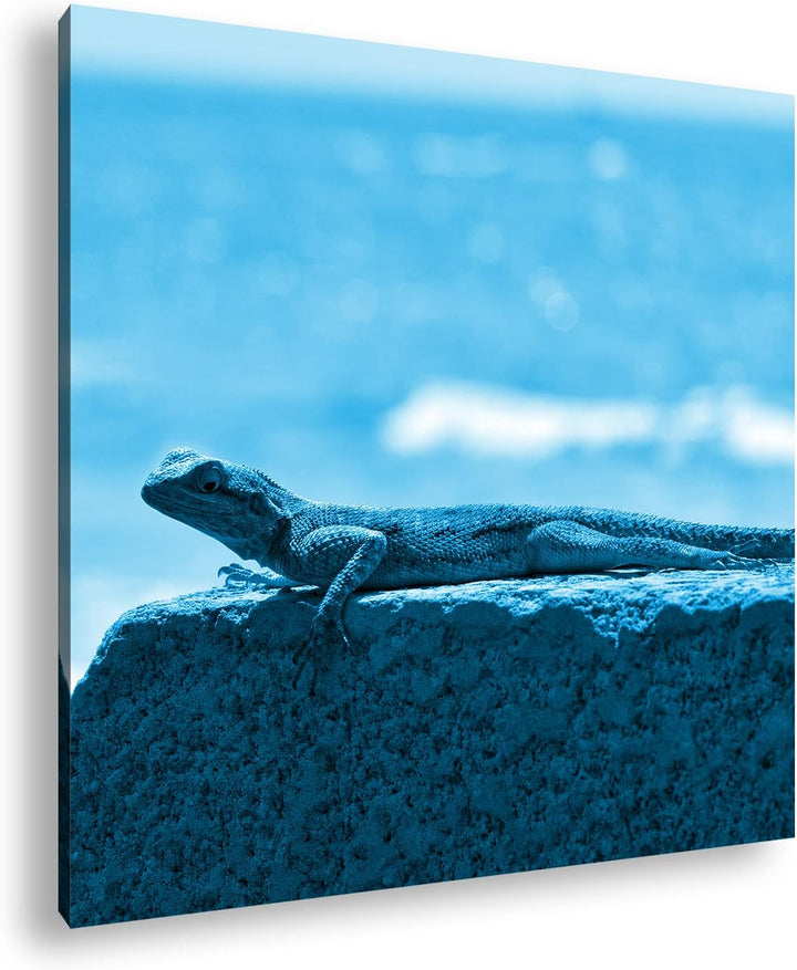 deyoli Gecko sonnt Sich Format: 60x60 Effekt: Monocrome Blau als Leinwandbild, Motiv fertig gerahmt