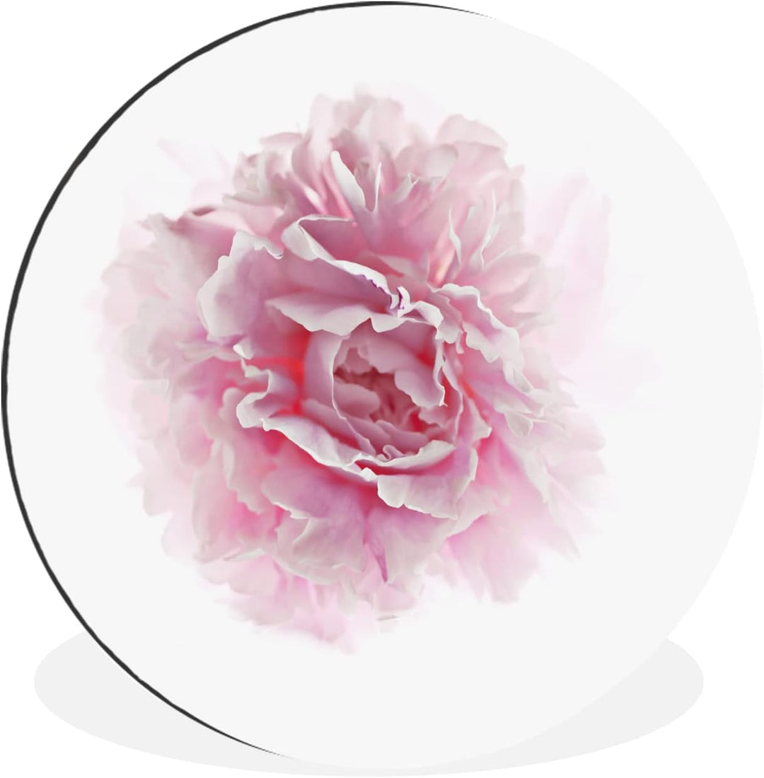 MuchoWow Wandbild Rund Wanddeko Deko Wohnzimmer Bilder 60x60 cm Draufsicht auf eine rosa Pfingstrose