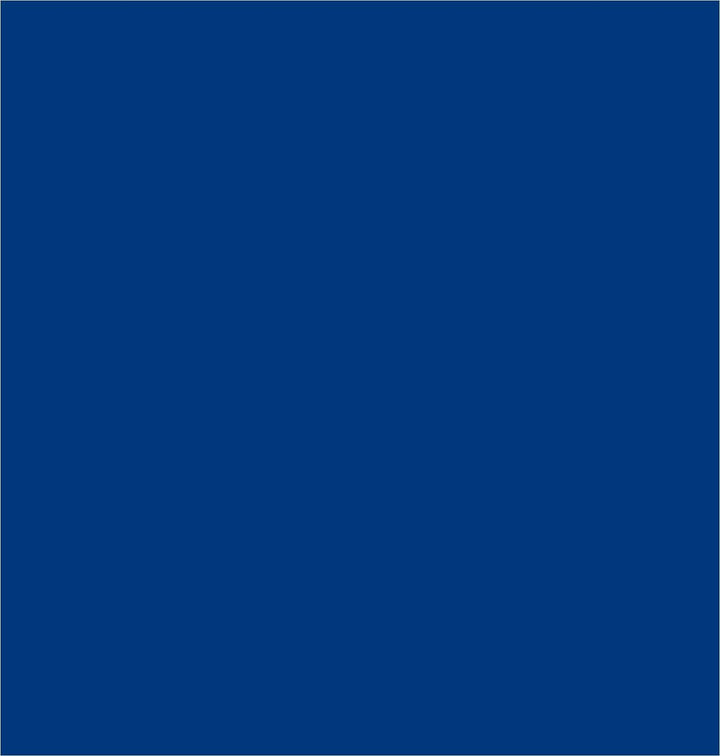 WO-WE Metalllack Metallfarbe Buntlack W900 Decklack für Metall Stahl Eisen Ultramarinblau ähnl. RAL