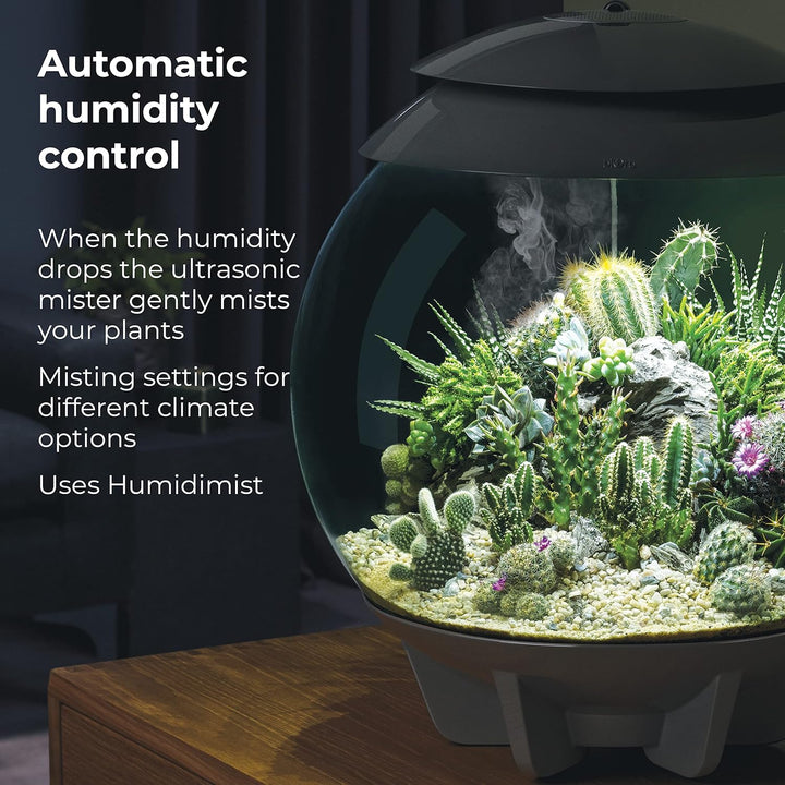 biOrb AIR 30 schwarz - Terrarium mit LED-Beleuchtung / Acryl-Becken zur Pflanzenpflege / für empfind