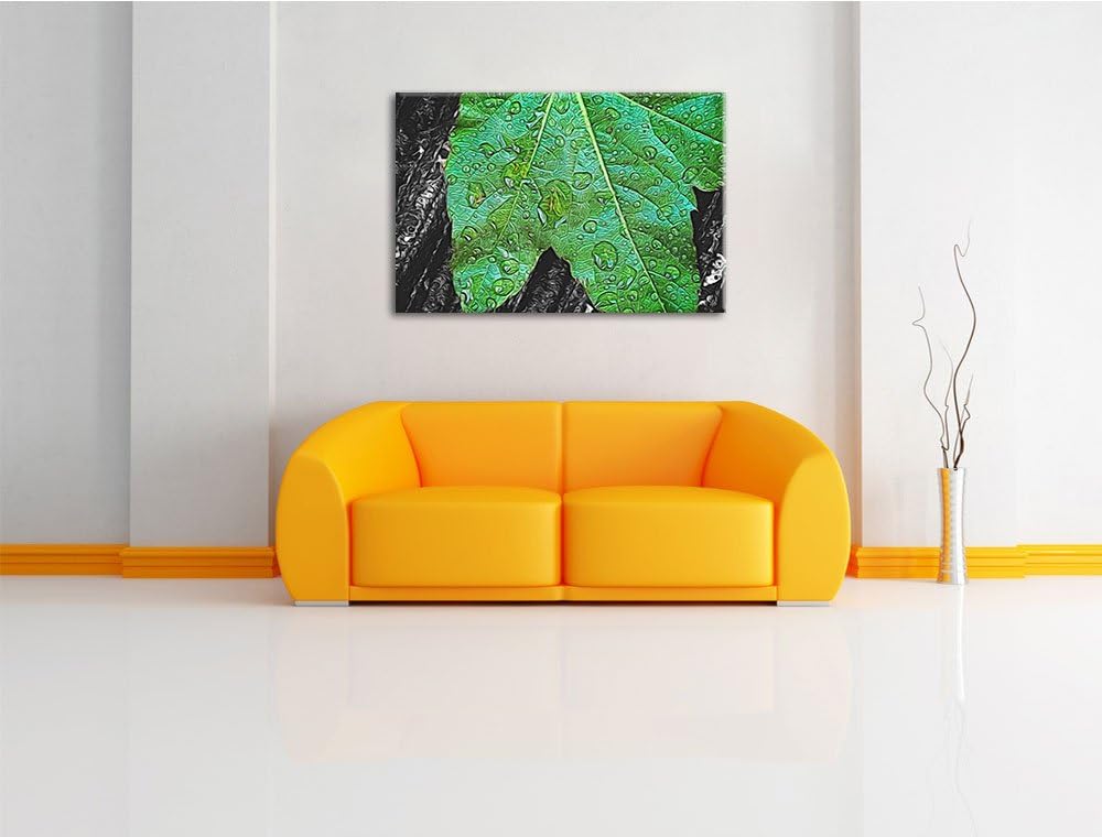 viele kleine Regentropfen auf Blatt schwarz/weiss Deluxe Format: 100x70 cm auf Leinwand, XXL riesige