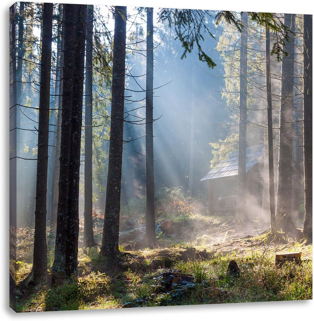 Sonnenstrahlen im Wald, Format: 70x70 auf Leinwand, XXL riesige Bilder fertig gerahmt mit Keilrahmen
