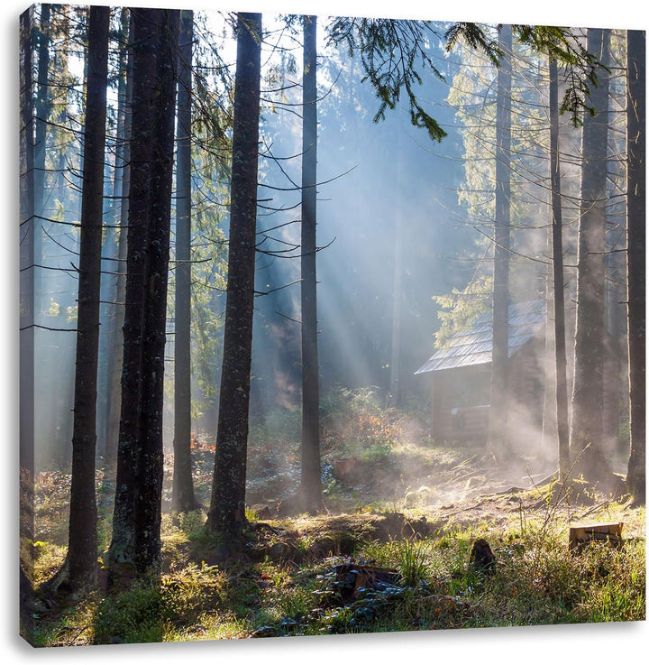 Sonnenstrahlen im Wald, Format: 70x70 auf Leinwand, XXL riesige Bilder fertig gerahmt mit Keilrahmen