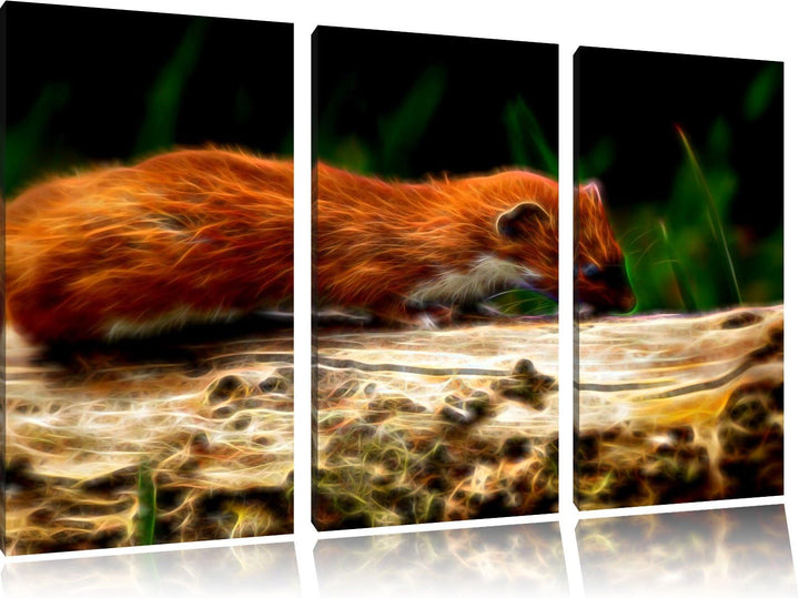 Niedliches Frettchen 3 Teilig, Gesamtgrösse 120x80 cm auf Leinwand, XXL riesige Bilder fertig gerahm