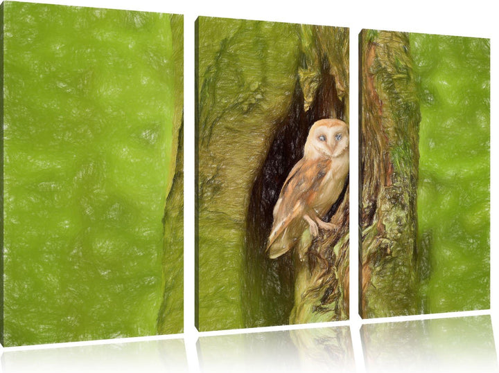 Pixxprint Schleiereule Baumhöhle als Leinwandbild/Grösse: 3 Teilig (120x80 cm) cm/Wandbild/Kunstdruc