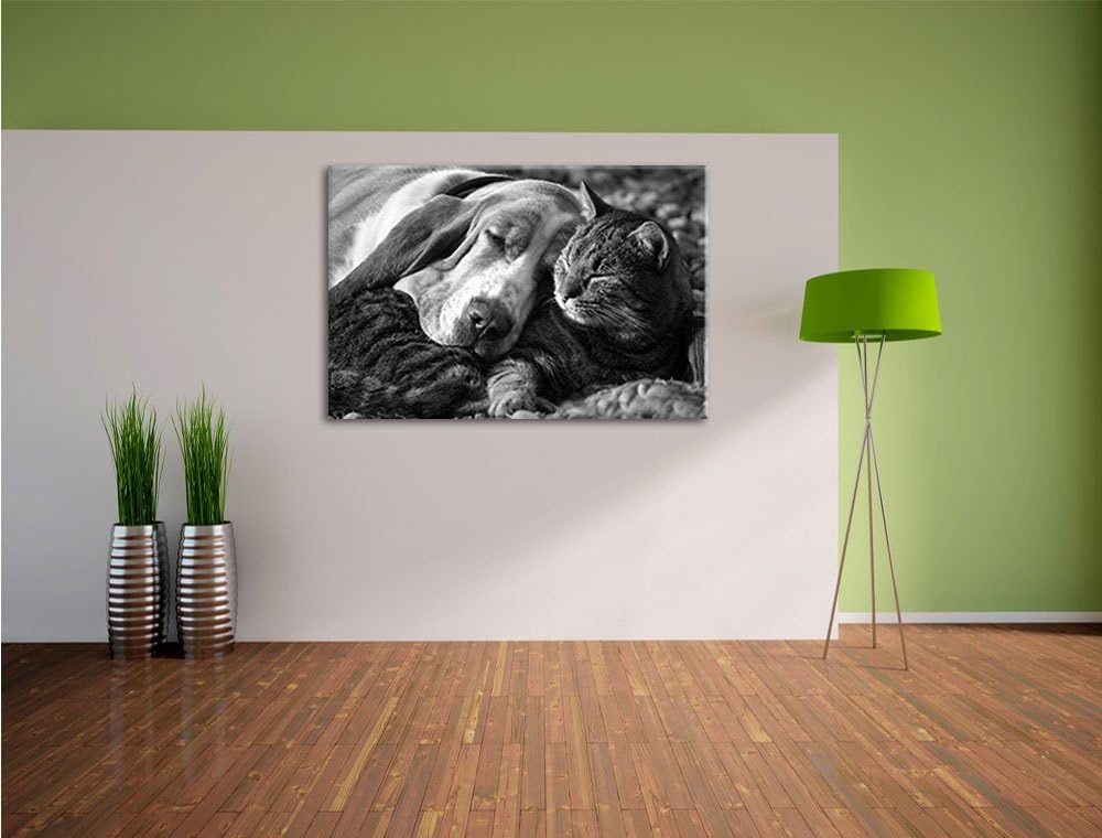 Pixxprint Katze und Hund kuschelnd Kunst B&W als Leinwandbild/Grösse: 100x70 / Wandbild/Kunstdruck/f