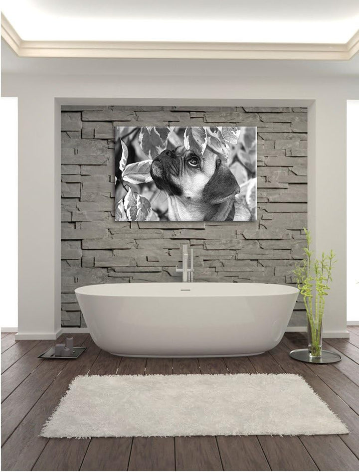 Pixxprint zwischen Blättern Mops als Leinwandbild/Grösse: 100x70 / Wandbild/Kunstdruck/fertig bespan