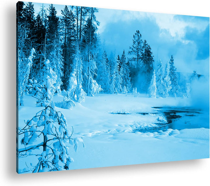 deyoli erstaunliche Schneelandschaft Format 80x60 Effekt: Monocrome Blau als Leinwandbild, Motiv fer