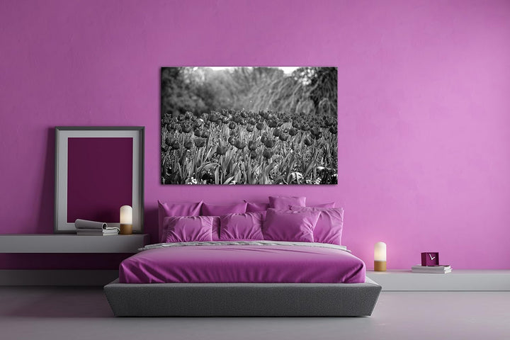 deyoli bezaubernde Rote Tulpen Effekt: Schwarz/Weiss Format: 100x70 als Leinwandbild, Motiv fertig g