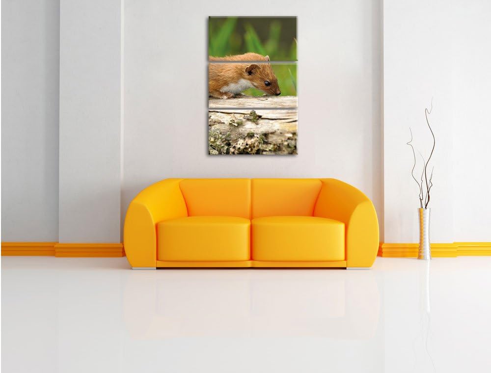 Pixxprint Fretchen auf Baumstamm 3-Teiler Leinwandbild 120x80 Bild auf Leinwand