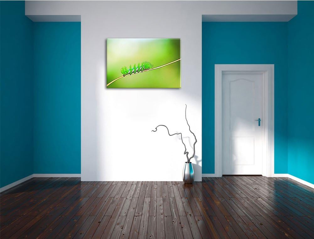 seltene grüne Raupe Deluxe Format: 100x70 cm auf Leinwand, XXL riesige Bilder fertig gerahmt mit Kei