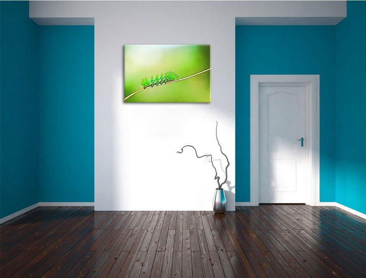 seltene grüne Raupe Deluxe Format: 100x70 cm auf Leinwand, XXL riesige Bilder fertig gerahmt mit Kei