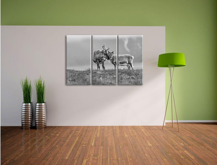 Pixxprint Rentiere die miteinander schmusen Kunst B&W 3-Teiler Leinwandbild 120x80 Bild auf Leinwand