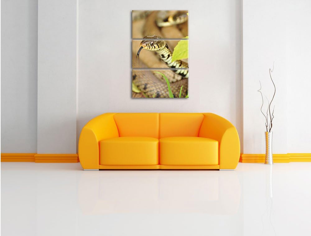 Pixxprint beeindruckende Schlange 3-Teiler Leinwandbild 120x80 Bild auf Leinwand