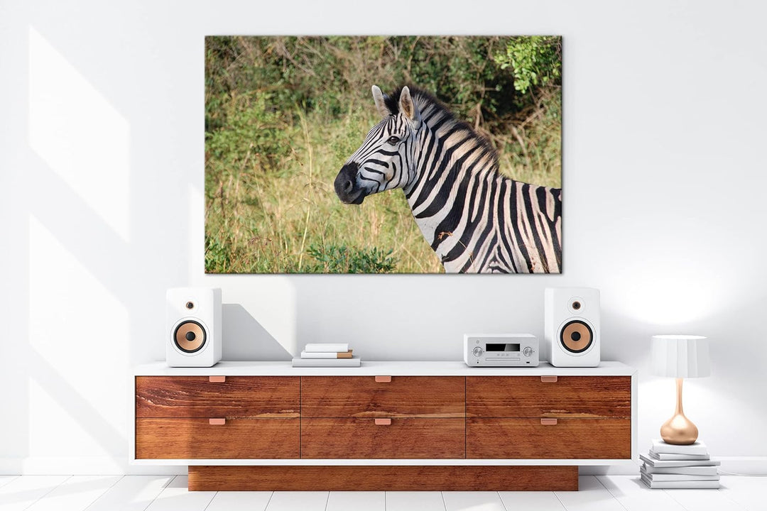 deyoli edles Zebra Format: 100x70 als Leinwand, Motiv fertig gerahmt auf Echtholzrahmen, Hochwertige
