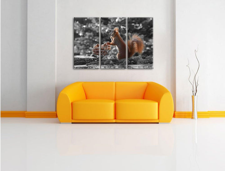 Pixxprint Eichhörnchen Schorschi Einkaufswagen B&W Detail 3-Teiler Leinwandbild 120x80 Bild auf Lein