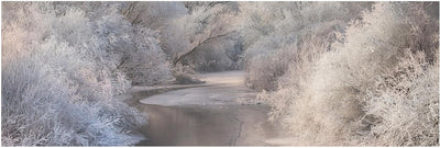 Bilderwelten Leinwandbild - Winter Song - Panorama Quer, 40cm x 120cm, 40cm x 120cm