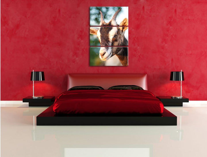 Pixxprint Niedliche Ziege als Leinwandbild/Grösse: 3 Teilig (120x80) / Wandbild/Kunstdruck/fertig be