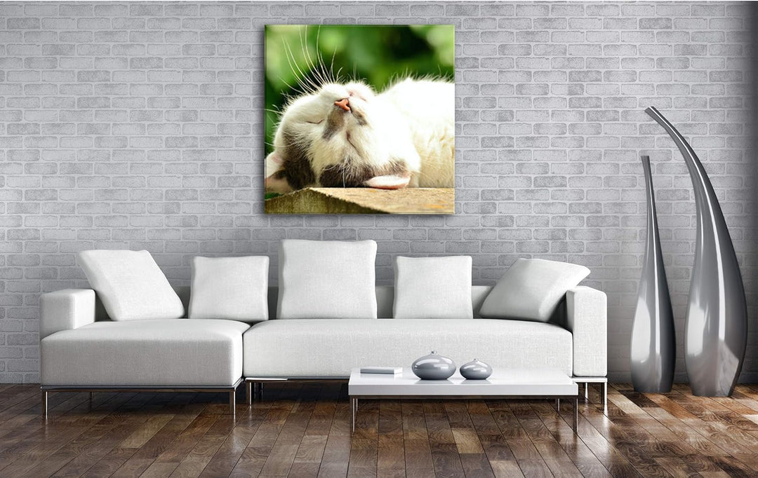 deyoli niedliche schlafende Katze Format: 70x70 als Leinwandbild, Motiv fertig gerahmt auf Echtholzr
