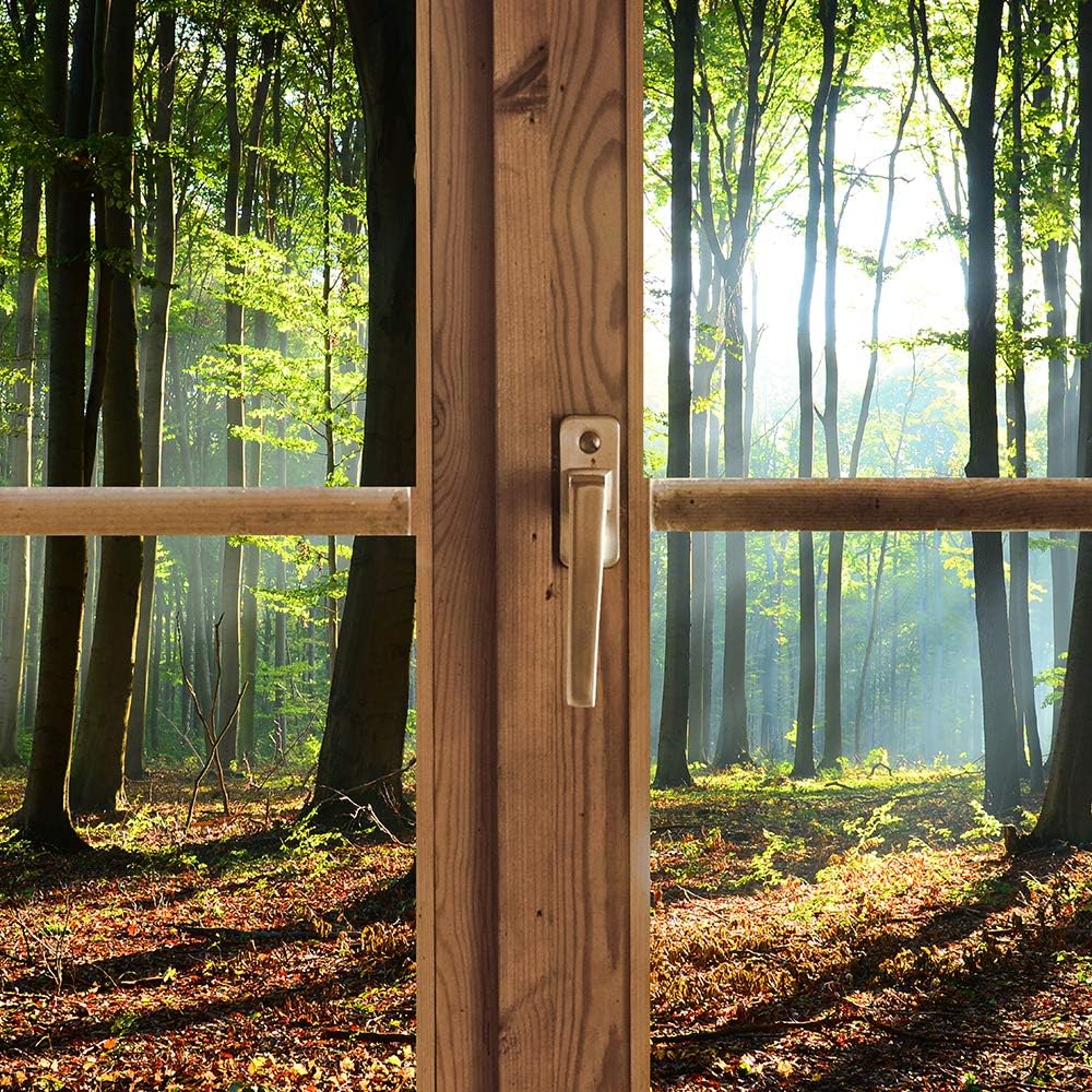 Wanddeko Fensterrahmen Kunst Modern Art Bilder Wald Blätter mehrfarbig 90x60 cm M12866 90x60 cm, M12