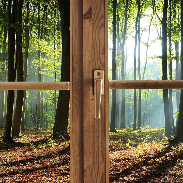 Wanddeko Fensterrahmen Kunst Modern Art Bilder Wald Blätter mehrfarbig 90x60 cm M12866 90x60 cm, M12