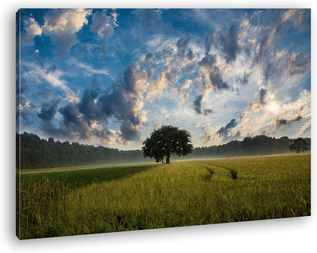 deyoli einzelner Baum vor einem atemberaubenden Himmel Format: 80x60 als Leinwandbild, Motiv fertig