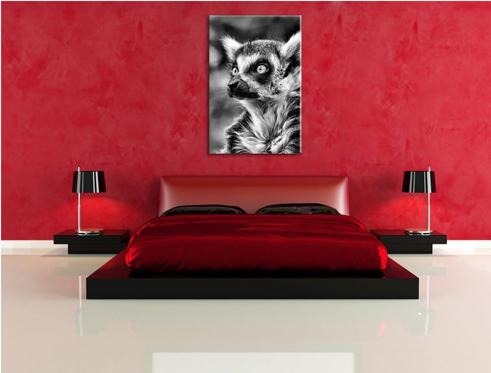 Pixxprint neugieriger Katta als Leinwandbild/Grösse: 100x70 cm/Wandbild/Kunstdruck/fertig bespannt,