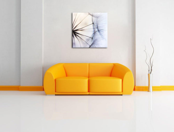 Weisse Pusteblumen, Format: 70x70 auf Leinwand, XXL riesige Bilder fertig gerahmt mit Keilrahmen, Ku